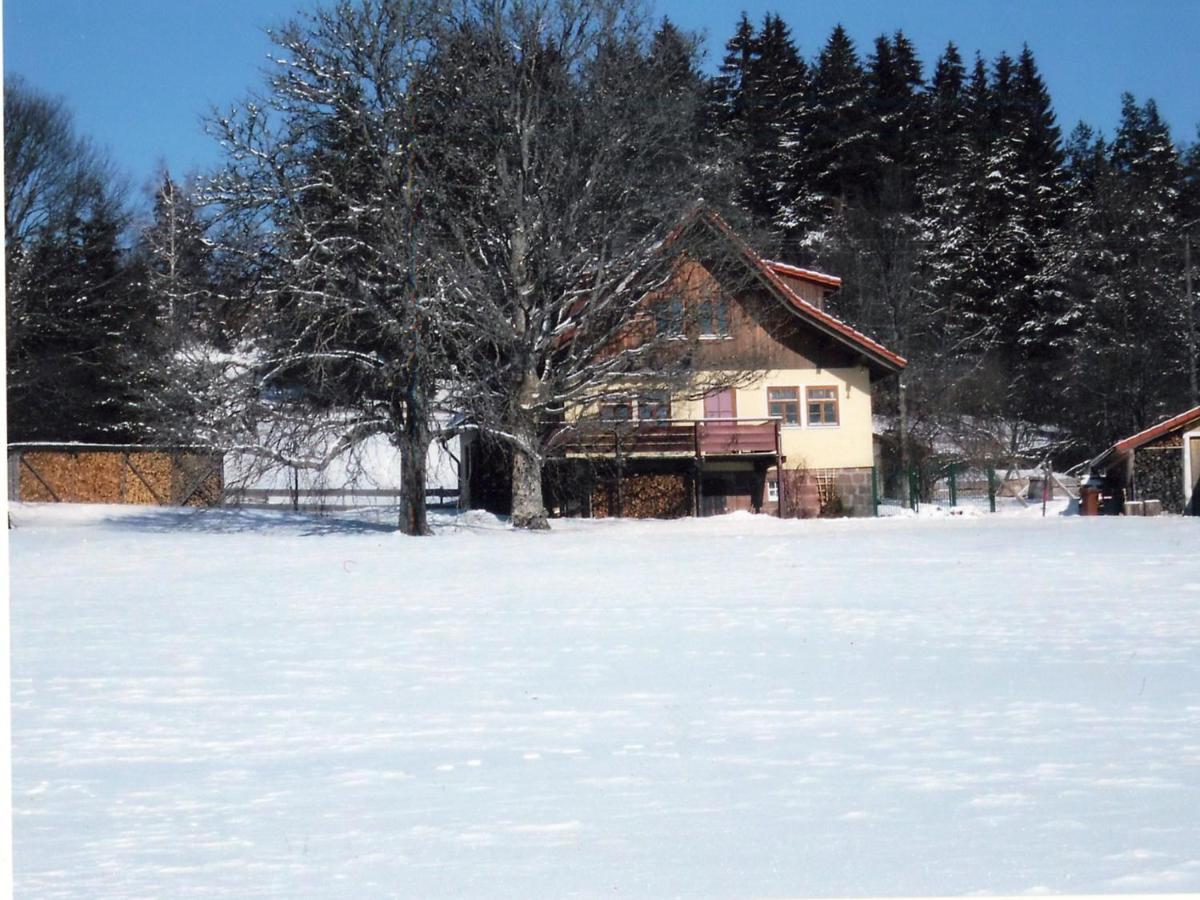 Landhaus Graf Книбис Экстерьер фото